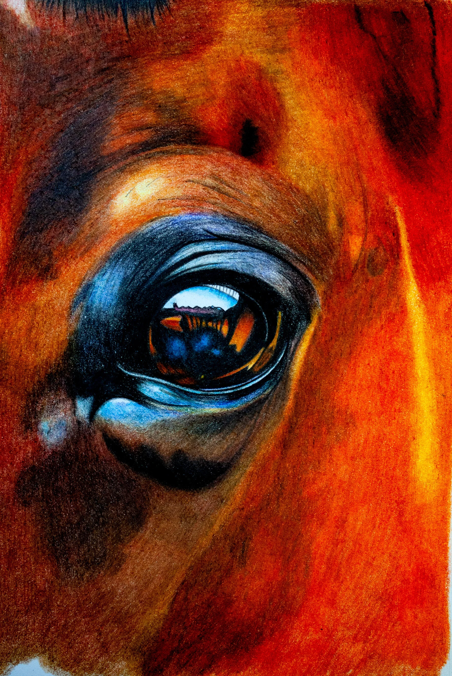 Lyra Polycolor Horses Eye Artwork Demonstration — The Art Gear Guide